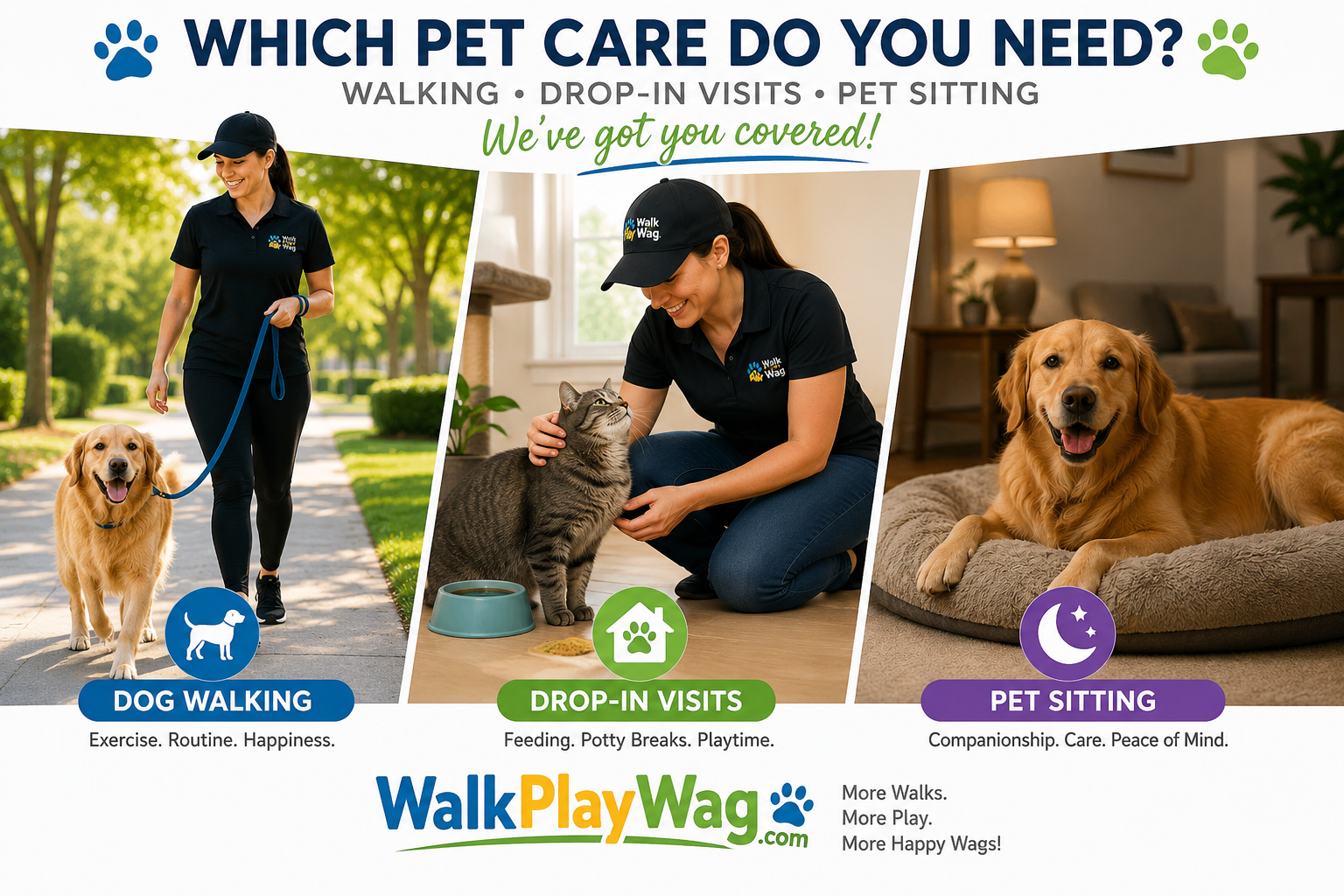 Do Dog Walking Services Offer Pet Sitting? (Which Do You Need?)